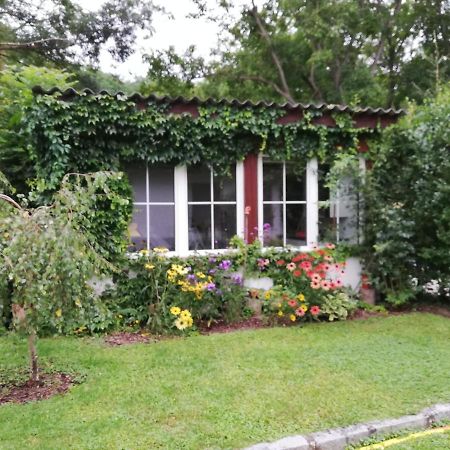 Ferienhaeuschen Gruber Villa Loosdorf Eksteriør billede